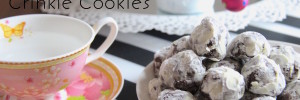 Crinkle cookies-Preview